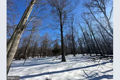 116 River Ridge, Yellow Spring, WV 26865 - Photo 8