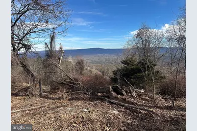 Lots # 35 & 117 River Ridge, Yellow Spring, WV 26865 - Photo 12