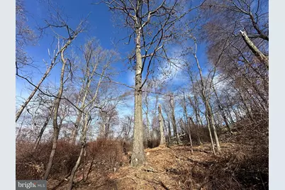 Lots # 35 & 117 River Ridge, Yellow Spring, WV 26865 - Photo 28