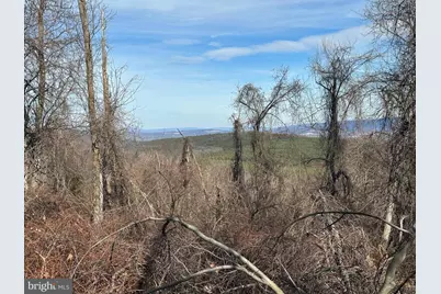 Lots # 35 & 117 River Ridge, Yellow Spring, WV 26865 - Photo 16