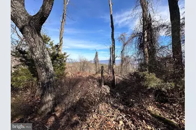 Lots # 35 & 117 River Ridge, Yellow Spring, WV 26865 - Photo 20