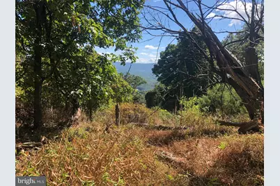 Lots # 35 & 117 River Ridge, Yellow Spring, WV 26865 - Photo 10