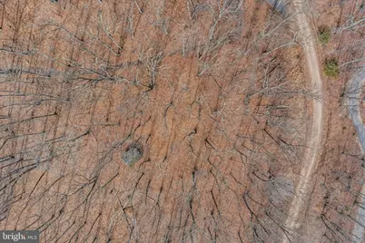 Lot 6 Pauls Woods Rd, Delray, WV 26714 - Photo 22