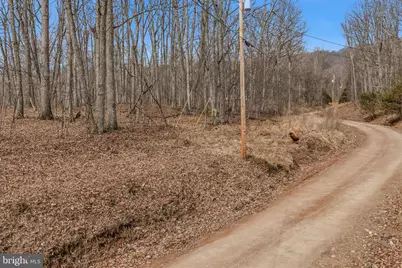 Lot 6 Pauls Woods Rd, Delray, WV 26714 - Photo 20