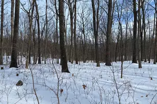 Lot 6 Pauls Woods Rd, Delray, WV 26714 - Photo 1