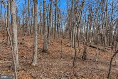 Lot 6 Pauls Woods Rd, Delray, WV 26714 - Photo 26