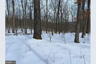 Lot 6 Pauls Woods Rd, Delray, WV 26714 - Photo 10