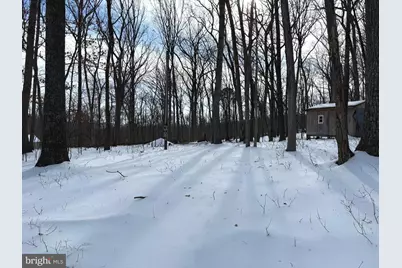 Lot 6 Pauls Woods Rd, Delray, WV 26714 - Photo 2