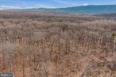 Lot 6 Pauls Woods Rd, Delray, WV 26714 - Photo 14