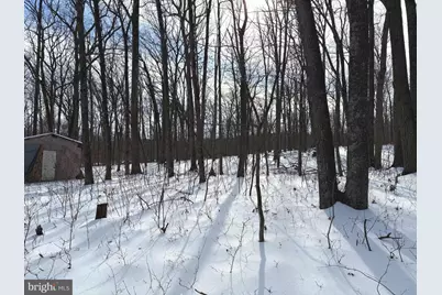 Lot 6 Pauls Woods Rd, Delray, WV 26714 - Photo 4