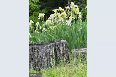 559 Tatonka Trail, Delray, WV 26714 - Photo 12