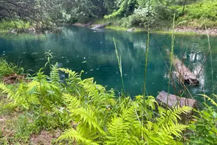 559 Tatonka Trl, Delray, WV 26714 - Photo 8