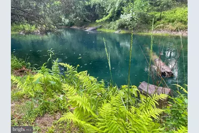 559 Tatonka Trail, Delray, WV 26714 - Photo 40