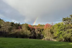 559 Tatonka Trl, Delray, WV 26714 - Photo 42