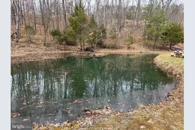 559 Tatonka Trail, Delray, WV 26714 - Photo 4