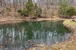 559 Tatonka Trl, Delray, WV 26714 - Photo 4