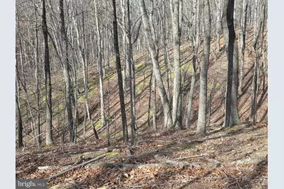 4605 Critton Owl Hollow Road, Paw Paw, WV 25434 - Photo 48