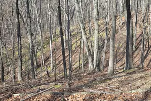 4605 Critton-Owl Hollow Rd, Paw Paw, WV 25434 - Photo 48