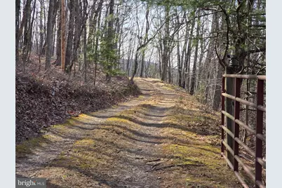 4605 Critton Owl Hollow Road, Paw Paw, WV 25434 - Photo 2