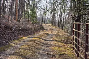 4605 Critton-Owl Hollow Rd, Paw Paw, WV 25434 - Photo 2