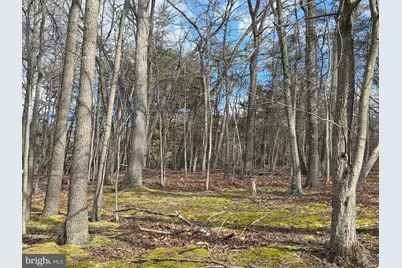 4605 Critton Owl Hollow Road, Paw Paw, WV 25434 - Photo 52