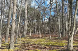 4605 Critton-Owl Hollow Rd, Paw Paw, WV 25434 - Photo 52