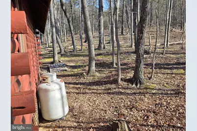 4605 Critton Owl Hollow Road, Paw Paw, WV 25434 - Photo 30