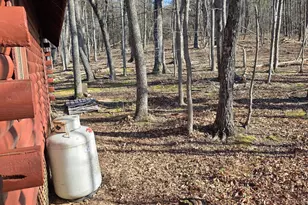 4605 Critton-Owl Hollow Rd, Paw Paw, WV 25434 - Photo 30