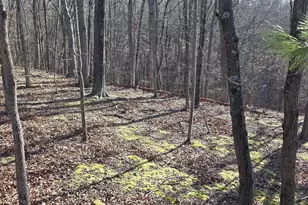 4605 Critton-Owl Hollow Rd, Paw Paw, WV 25434 - Photo 32