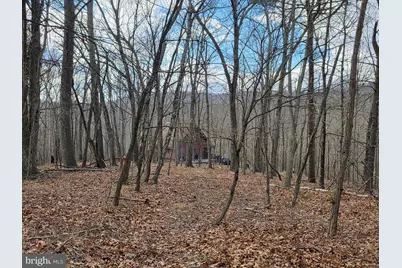 4605 Critton Owl Hollow Road, Paw Paw, WV 25434 - Photo 46