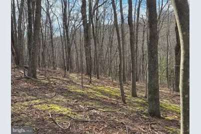 4605 Critton Owl Hollow Road, Paw Paw, WV 25434 - Photo 50