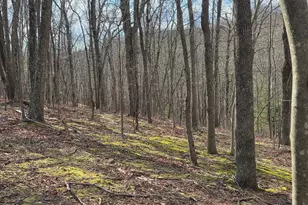 4605 Critton-Owl Hollow Rd, Paw Paw, WV 25434 - Photo 50