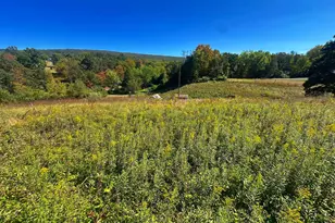 3500 Paw Paw Rd, Paw Paw, WV 25434 - Photo 6