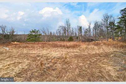 875 Buffalo Ridge Road, Augusta, WV 26704 - Photo 26