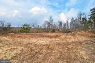 875 Buffalo Ridge Rd, Augusta, WV 26704 - Photo 26