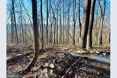 Lot 13 Sec 8 Lawyer Lane, Slanesville, WV 25444 - Photo 12