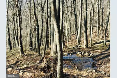 Lot 13 Sec 8 Lawyer Lane, Slanesville, WV 25444 - Photo 8