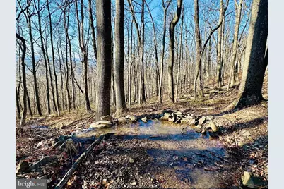 Lot 13 Sec 8 Lawyer Lane, Slanesville, WV 25444 - Photo 1