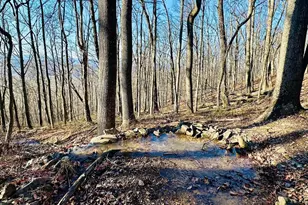 Lot 13 Sec 8 Lawyer Ln, Slanesville, WV 25444 - Photo 1