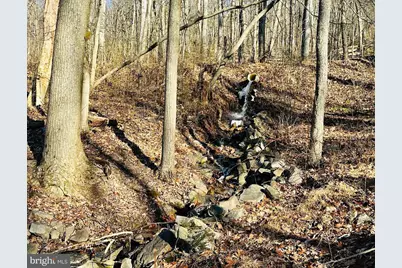 Lot 13 Sec 8 Lawyer Lane, Slanesville, WV 25444 - Photo 10