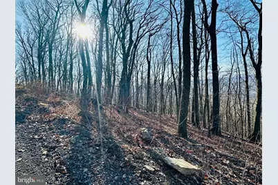 Lot 13 Sec 8 Lawyer Lane, Slanesville, WV 25444 - Photo 4