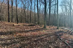 Lot 18 Sec 8 Butterfly Ln, Slanesville, WV 25444 - Photo 1