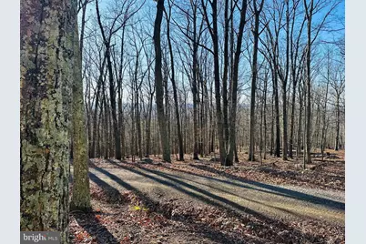 Lot 18 Sec 8 Butterfly Lane, Slanesville, WV 25444 - Photo 4