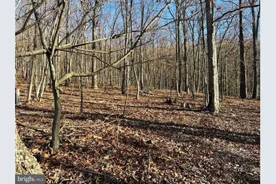Lot 18 Sec 8 Butterfly Lane, Slanesville, WV 25444 - Photo 2