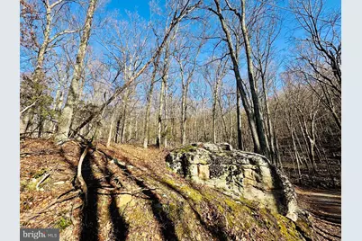 Lot 18 Sec 8 Butterfly Lane, Slanesville, WV 25444 - Photo 6