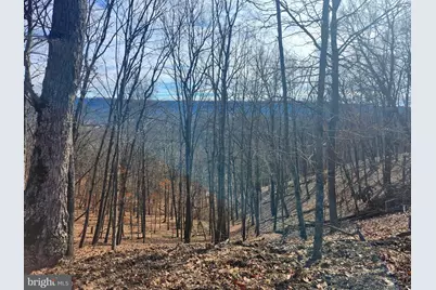 Lot 17 Top Drive, Romney, WV 26757 - Photo 8