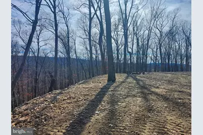 Lot 17 Top Drive, Romney, WV 26757 - Photo 10