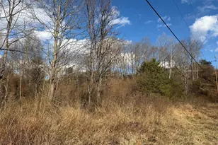 986 Rushing River Rd, Augusta, WV 26704 - Photo 32