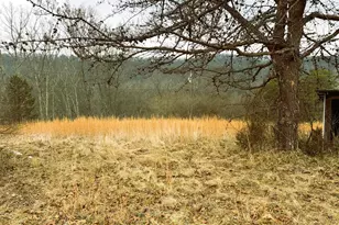 986 Rushing River Rd, Augusta, WV 26704 - Photo 20