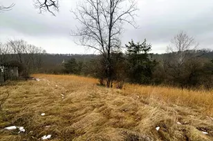 986 Rushing River Rd, Augusta, WV 26704 - Photo 36